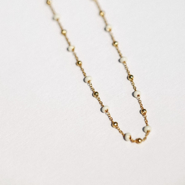 Coquille Cheville Coquille Cheville